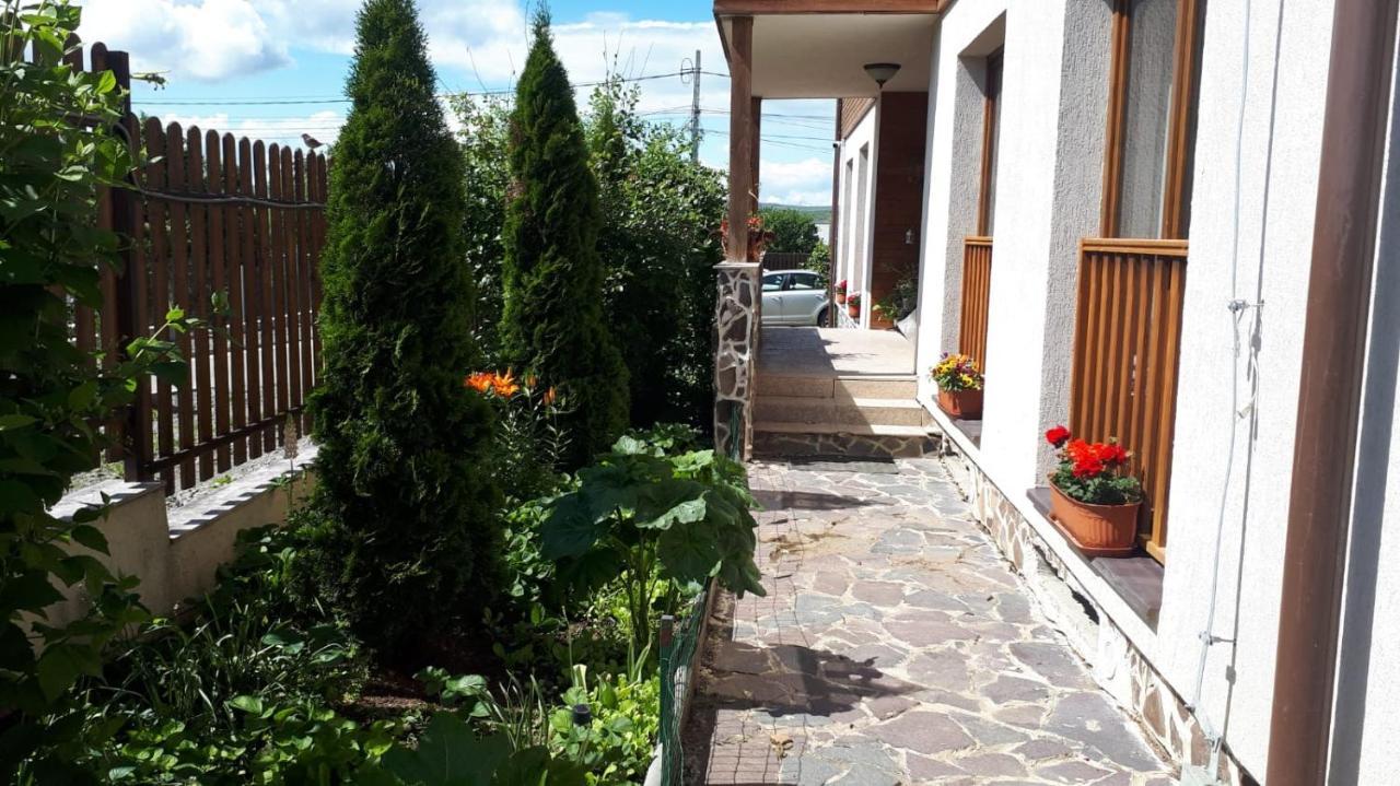 Casa Paduricea Hotel Dezmir Exterior foto
