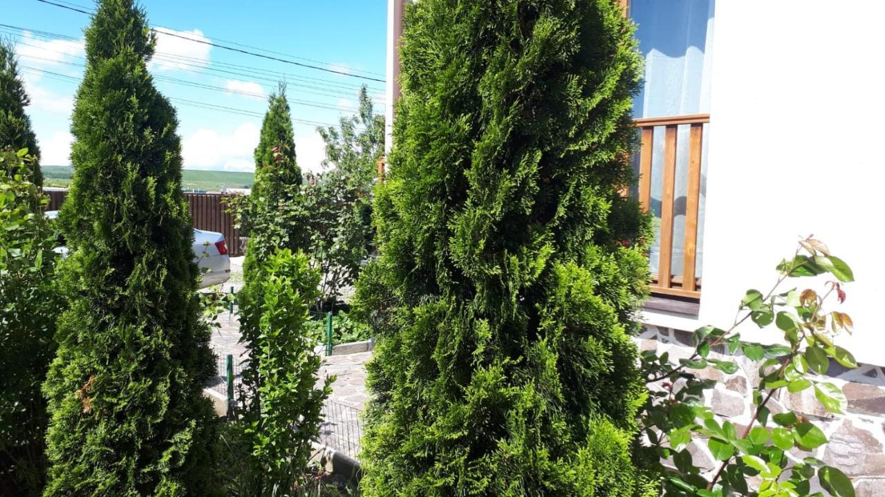 Casa Paduricea Hotel Dezmir Exterior foto