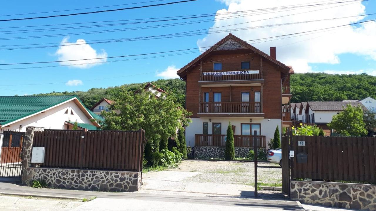 Casa Paduricea Hotel Dezmir Exterior foto